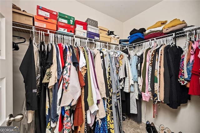 spacious closet with carpet floors