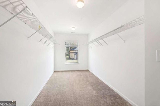 spacious closet featuring carpet flooring