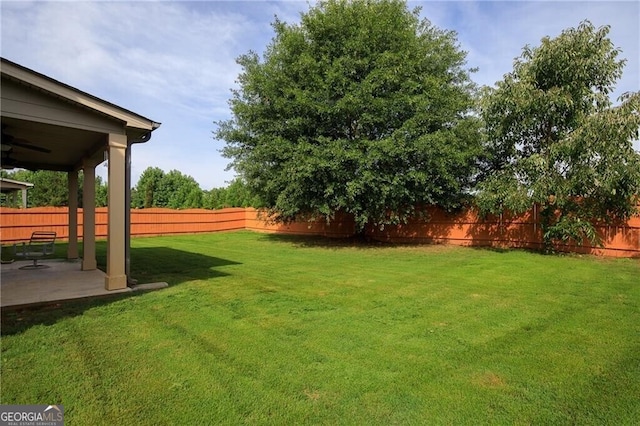 view of yard with a patio area