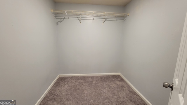 walk in closet with carpet floors