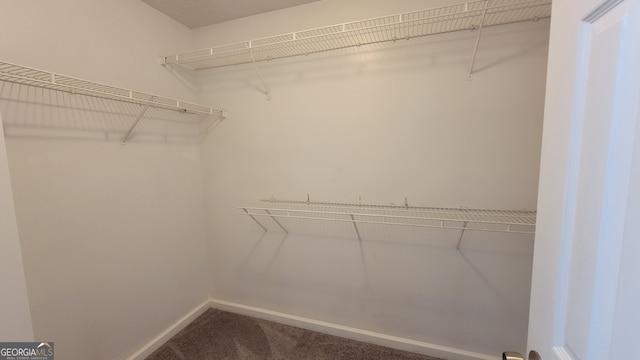 spacious closet featuring carpet floors