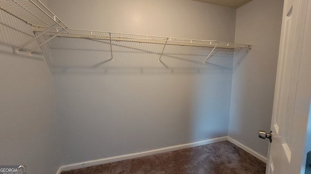 walk in closet with dark carpet