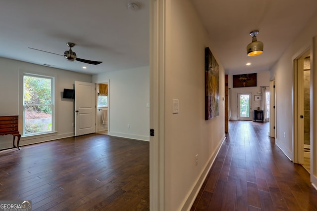 hallway featuring a wealth of natural light and dark hardwood / wood-style floors