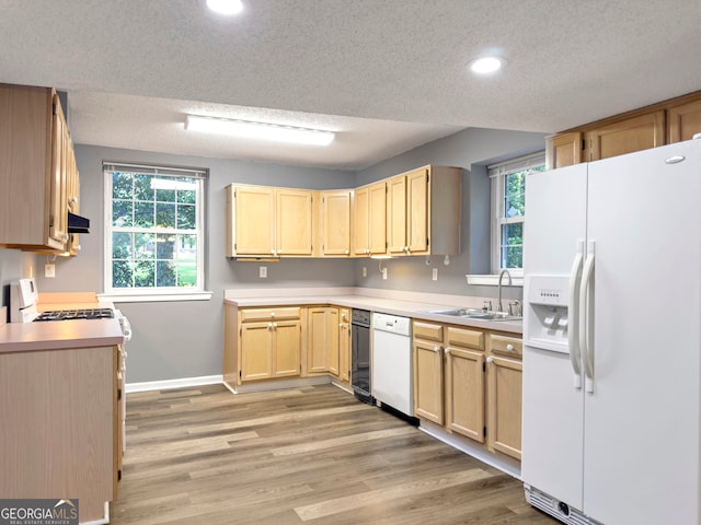 kitchen with white appliances, sink, a textured ceiling, light brown cabinetry, and light hardwood / wood-style floors