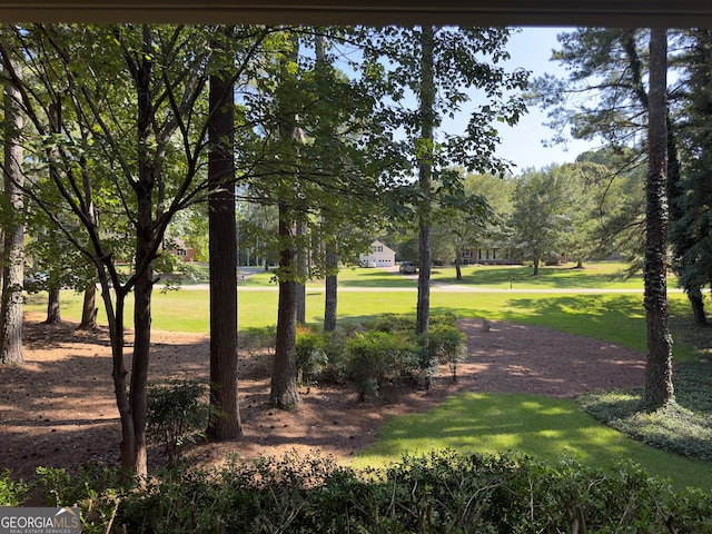 view of community featuring a yard