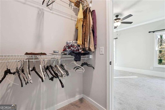 walk in closet with carpet floors and ceiling fan