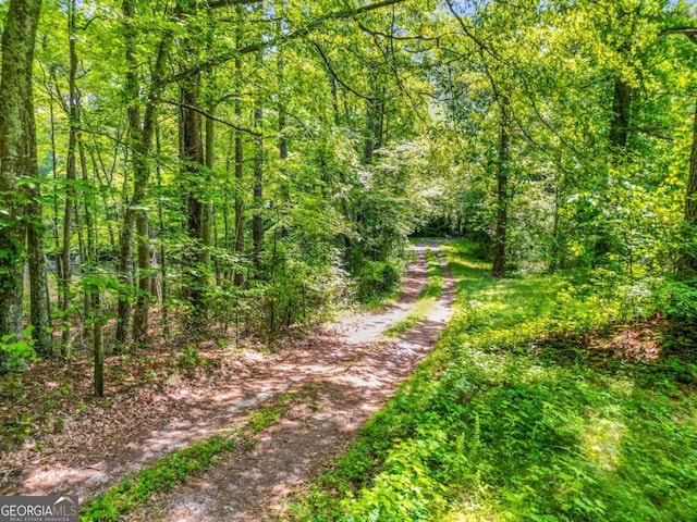 view of local wilderness