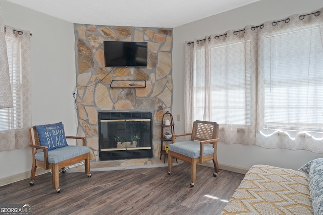 living room with a stone fireplace and wood-type flooring