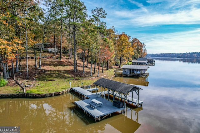 dock area with a water view