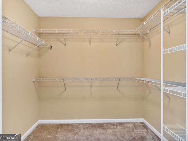 walk in closet featuring carpet floors