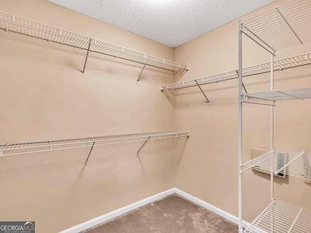 walk in closet featuring carpet