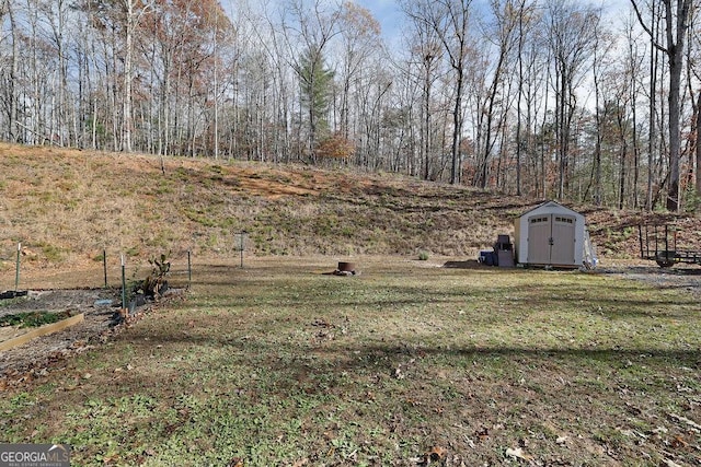 view of yard featuring a shed