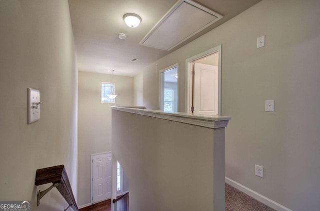 interior space featuring carpet floors