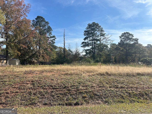 173 Highview St, Gray GA, 31032 land for sale