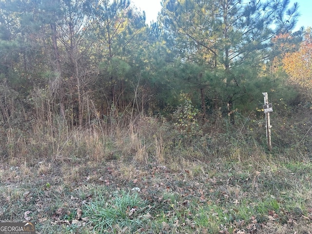 20 Hwy, Covington GA, 30016 land for sale