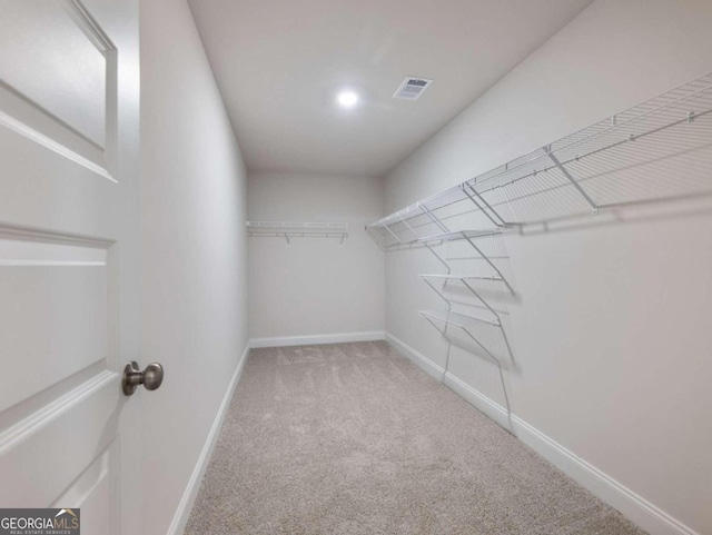 walk in closet with carpet floors