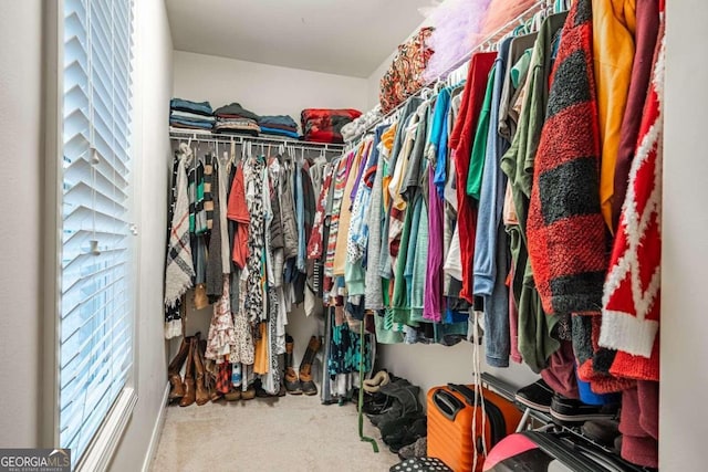 spacious closet featuring carpet flooring