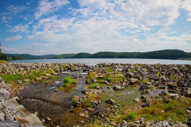 view of water feature