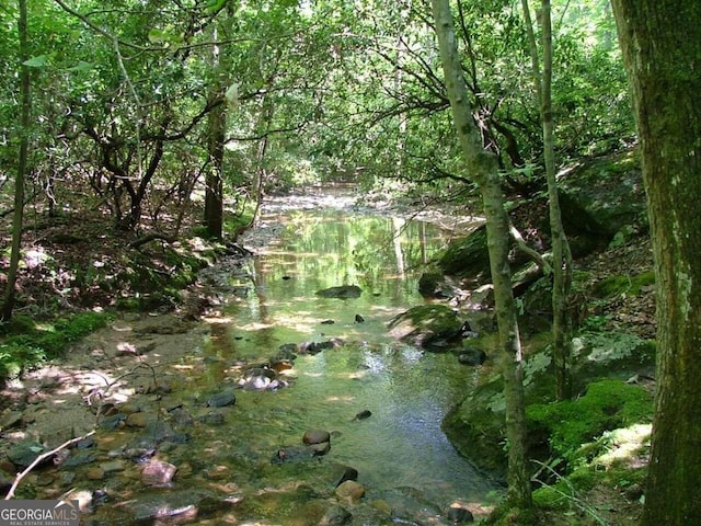 view of nature featuring a water view