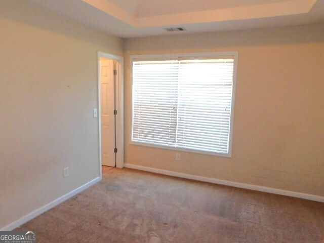 spare room with light carpet and a tray ceiling