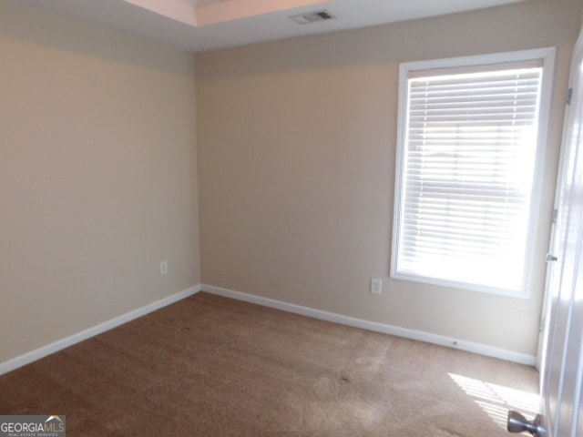 carpeted spare room with a healthy amount of sunlight