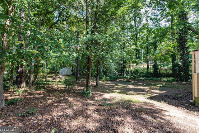 view of yard with a shed