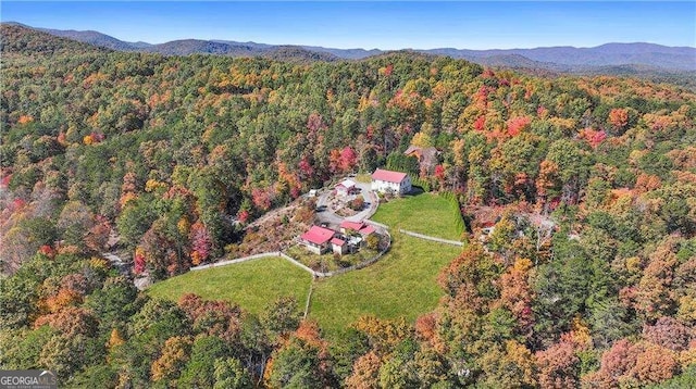 drone / aerial view featuring a mountain view