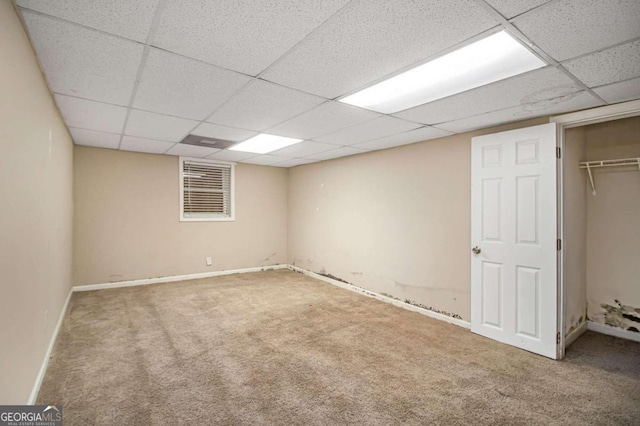 basement with a paneled ceiling and carpet floors