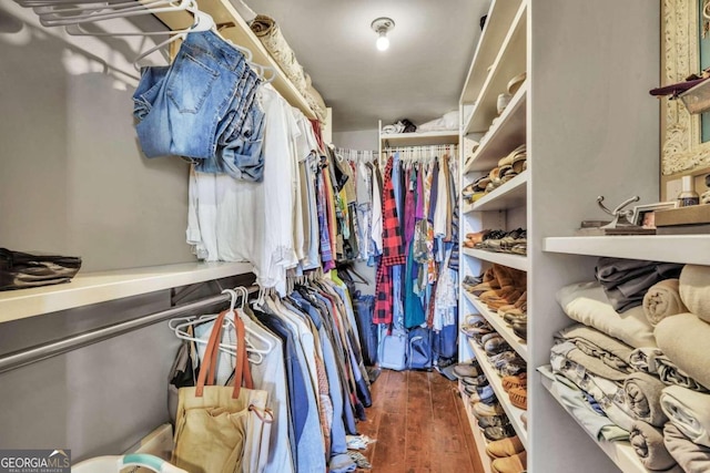 spacious closet featuring dark wood-type flooring