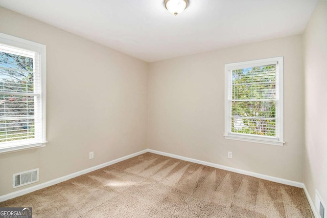 empty room featuring plenty of natural light and carpet floors