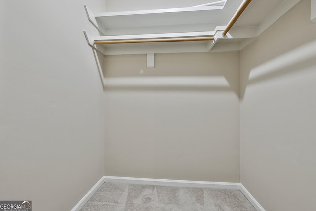 spacious closet featuring light colored carpet