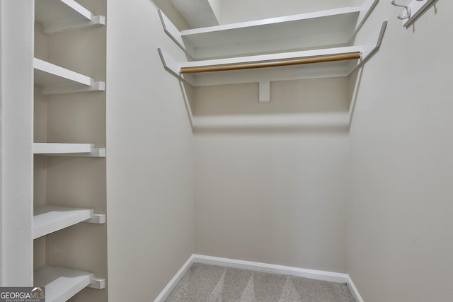 spacious closet with carpet flooring