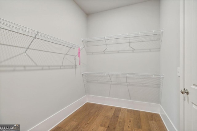 walk in closet with hardwood / wood-style flooring