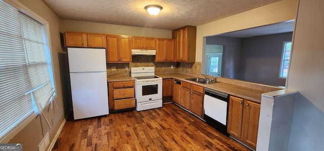 kitchen featuring white appliances, sink, decorative backsplash, a textured ceiling, and dark hardwood / wood-style flooring