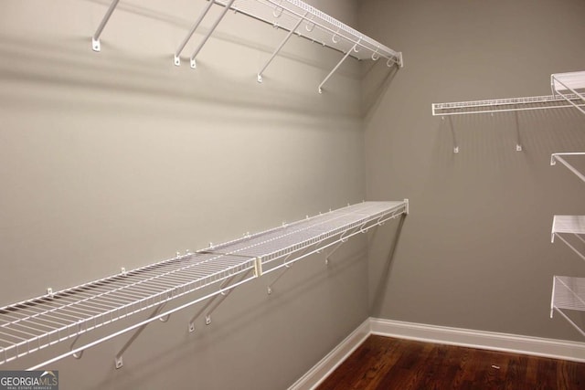 spacious closet featuring dark hardwood / wood-style floors