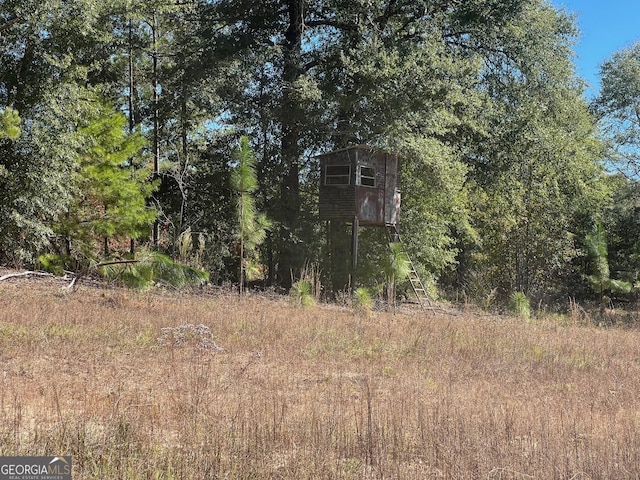 view of local wilderness