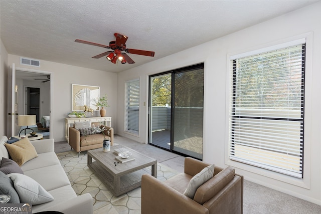 living room with a textured ceiling and a wealth of natural light