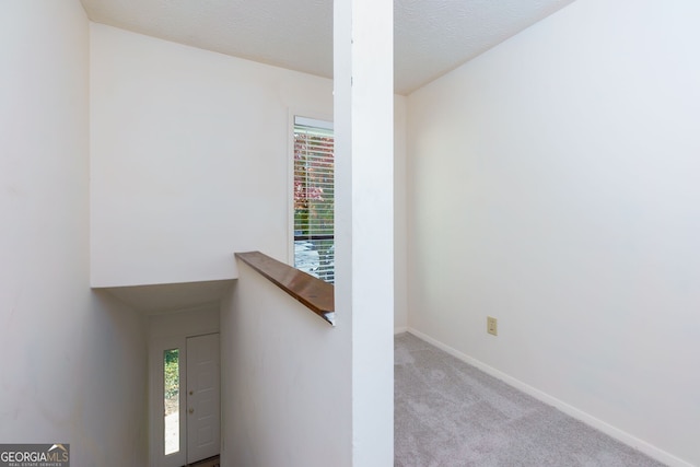 interior space with light carpet and plenty of natural light