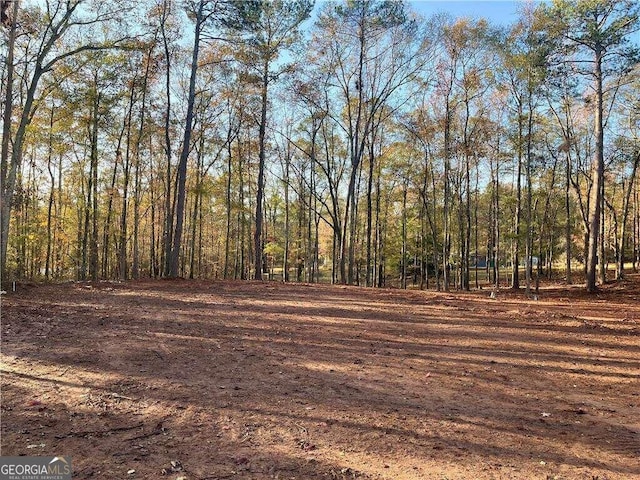 Listing photo 3 for 121 Sheldon Pt, Griffin GA 30224