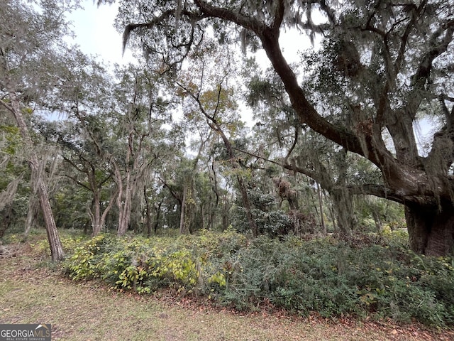 0 Carnochan, Darien GA, 31305 land for sale