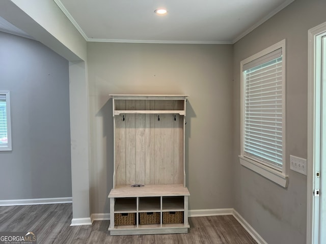 mudroom with ornamental molding and dark wood-type flooring