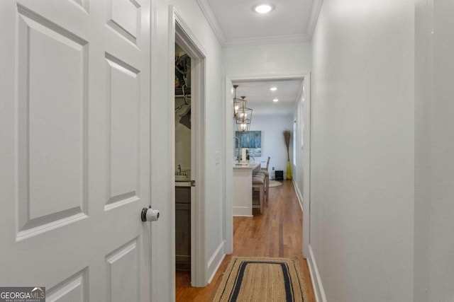 corridor featuring light hardwood / wood-style floors and ornamental molding