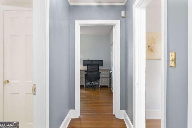 corridor with wood-type flooring