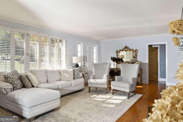 living room featuring crown molding and dark wood-type flooring