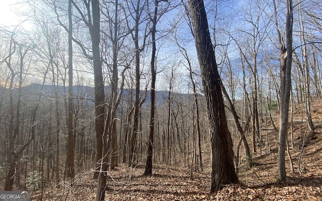 Listing photo 2 for TRACT1 Caesar Gap Rd, Hiawassee GA 30546