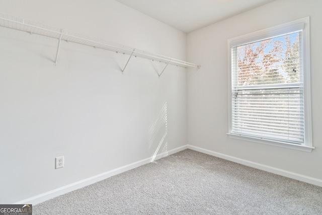 spacious closet with carpet