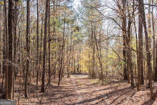 Listing photo 3 for 10AC Cunningham Rd, Greensboro GA 30642