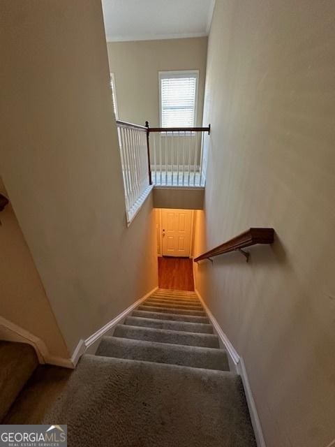 staircase featuring a towering ceiling and crown molding