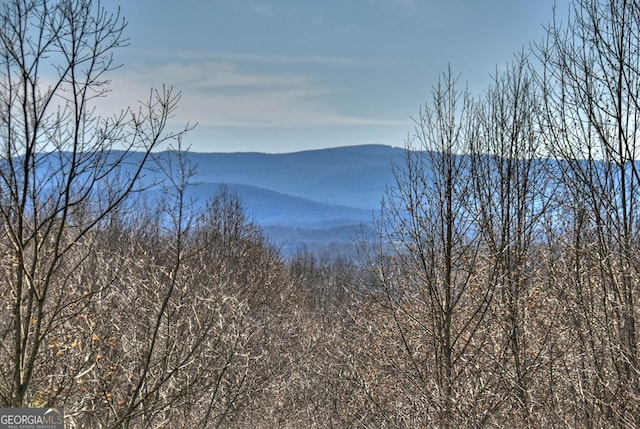 view of mountain feature