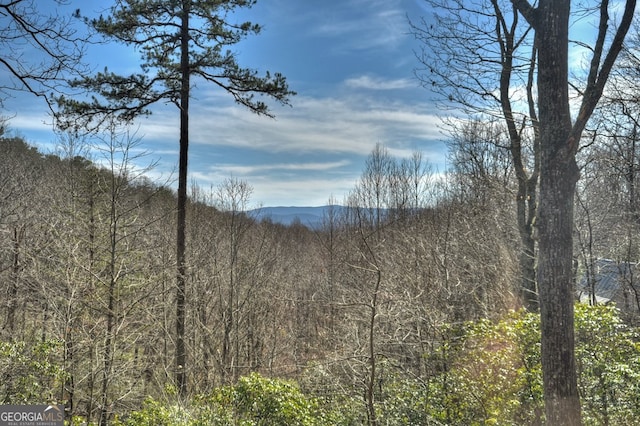 property view of mountains